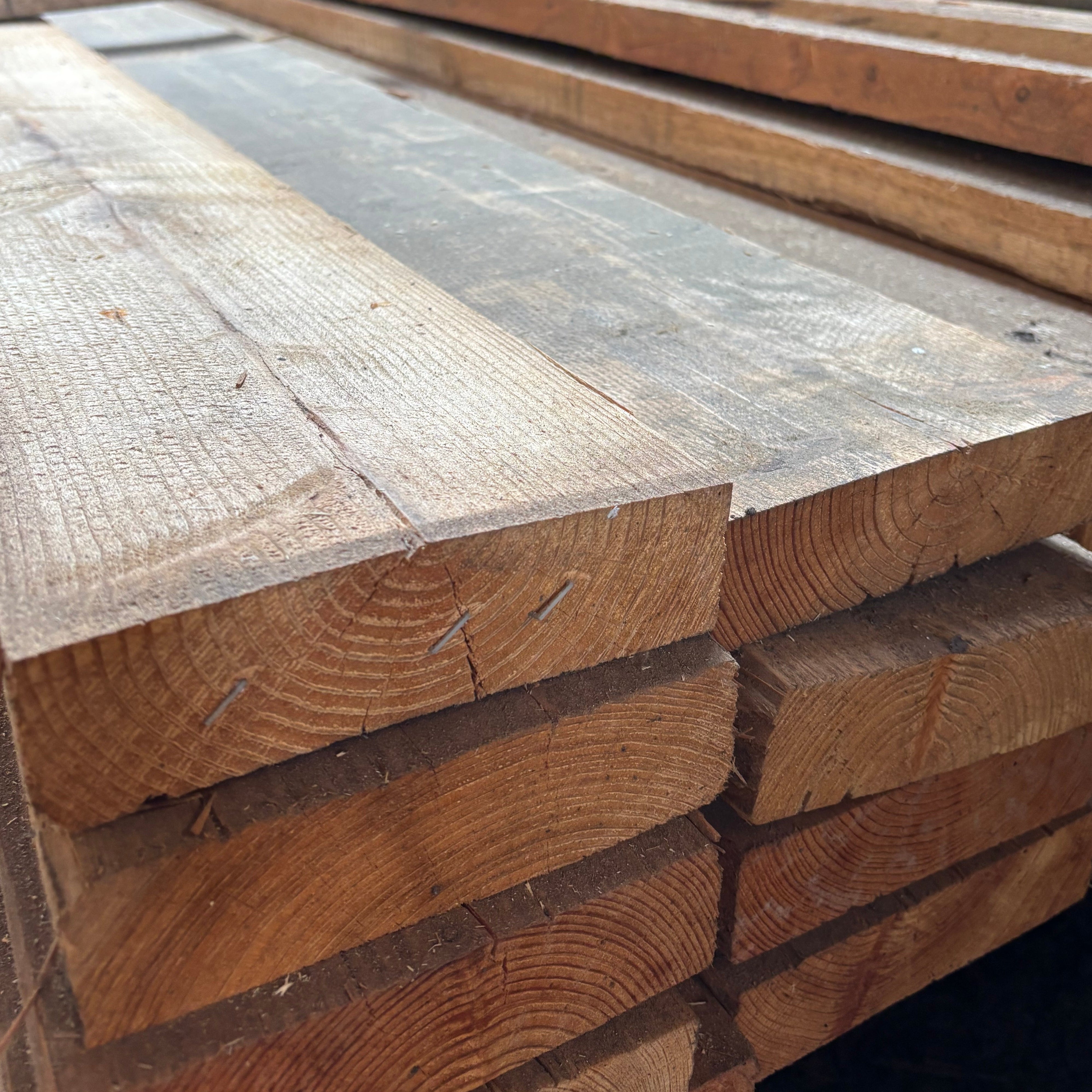 Pfosten Lärche 50x175x5000 mm