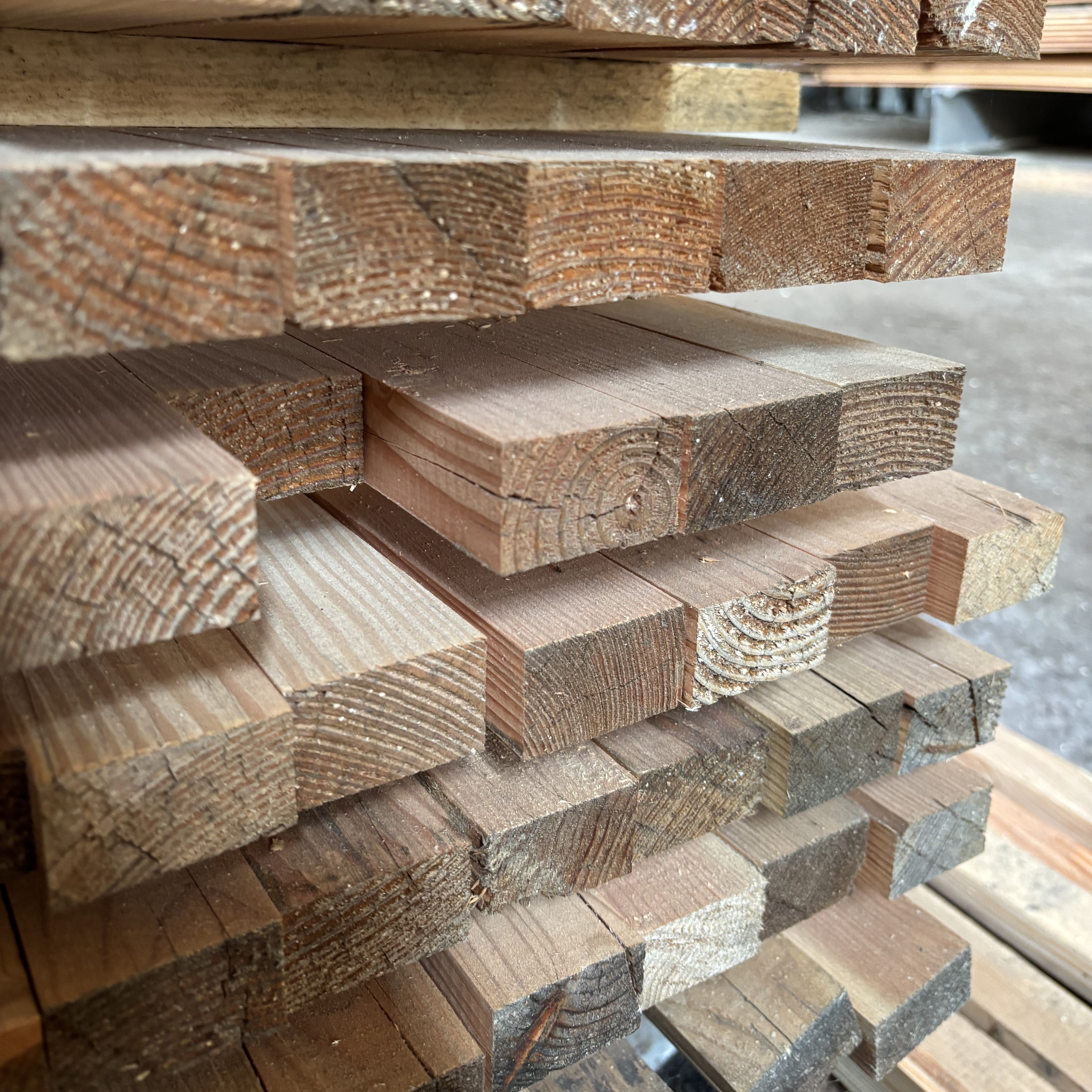 Latten Lärche 30x50x3000 mm