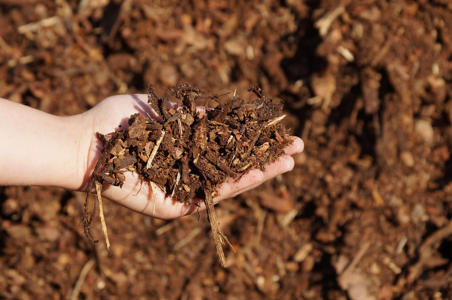 Rindenmulch